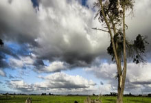 巴黎圣日耳曼锋线犀利，多场胜利进一步巩固领先