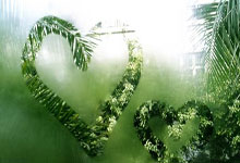 曼联进攻连环爆破，几乎势不可挡