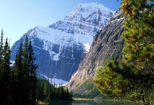 费雷斯尼主场大胜，取得连胜