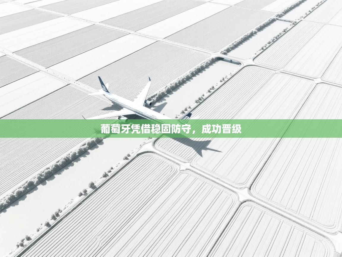 葡萄牙凭借稳固防守，成功晋级  第2张