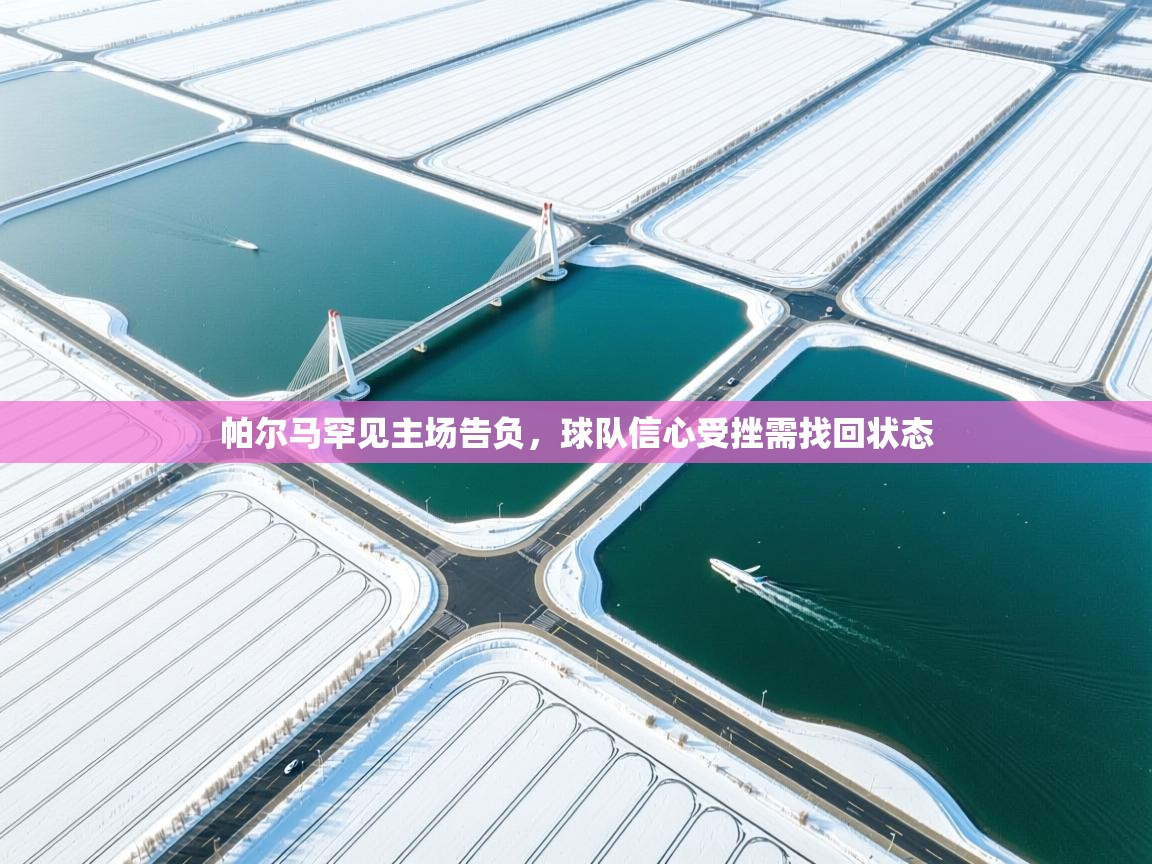 帕尔马罕见主场告负,球队信心受挫需找回状态 第2张