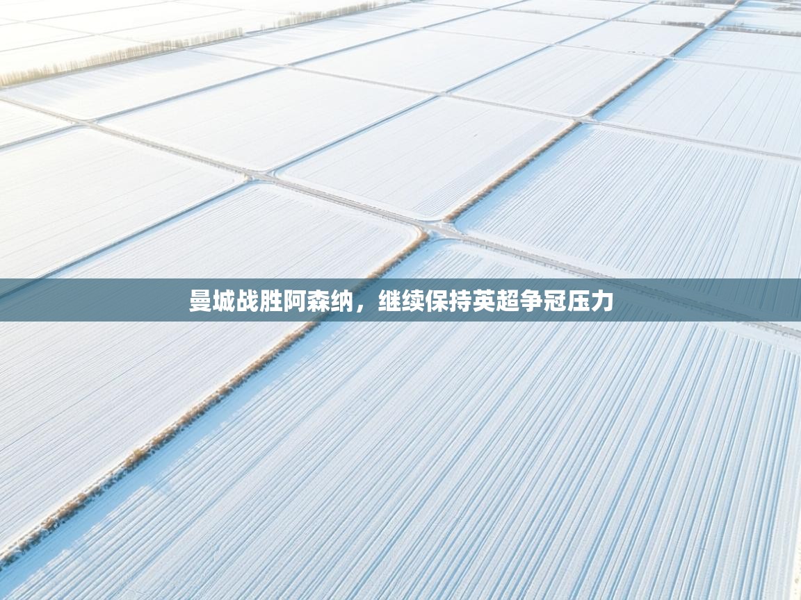 曼城战胜阿森纳，继续保持英超争冠压力