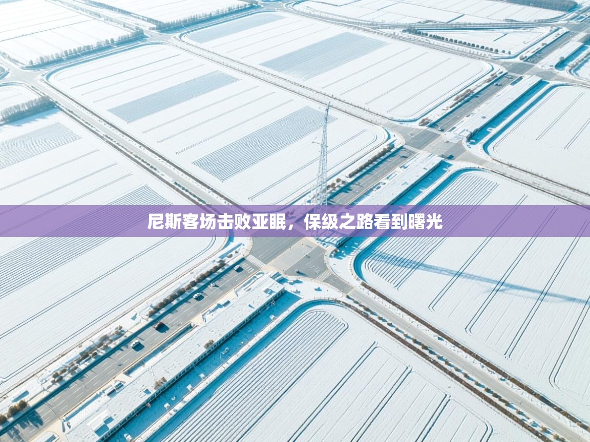 尼斯客场击败亚眠，保级之路看到曙光  第1张