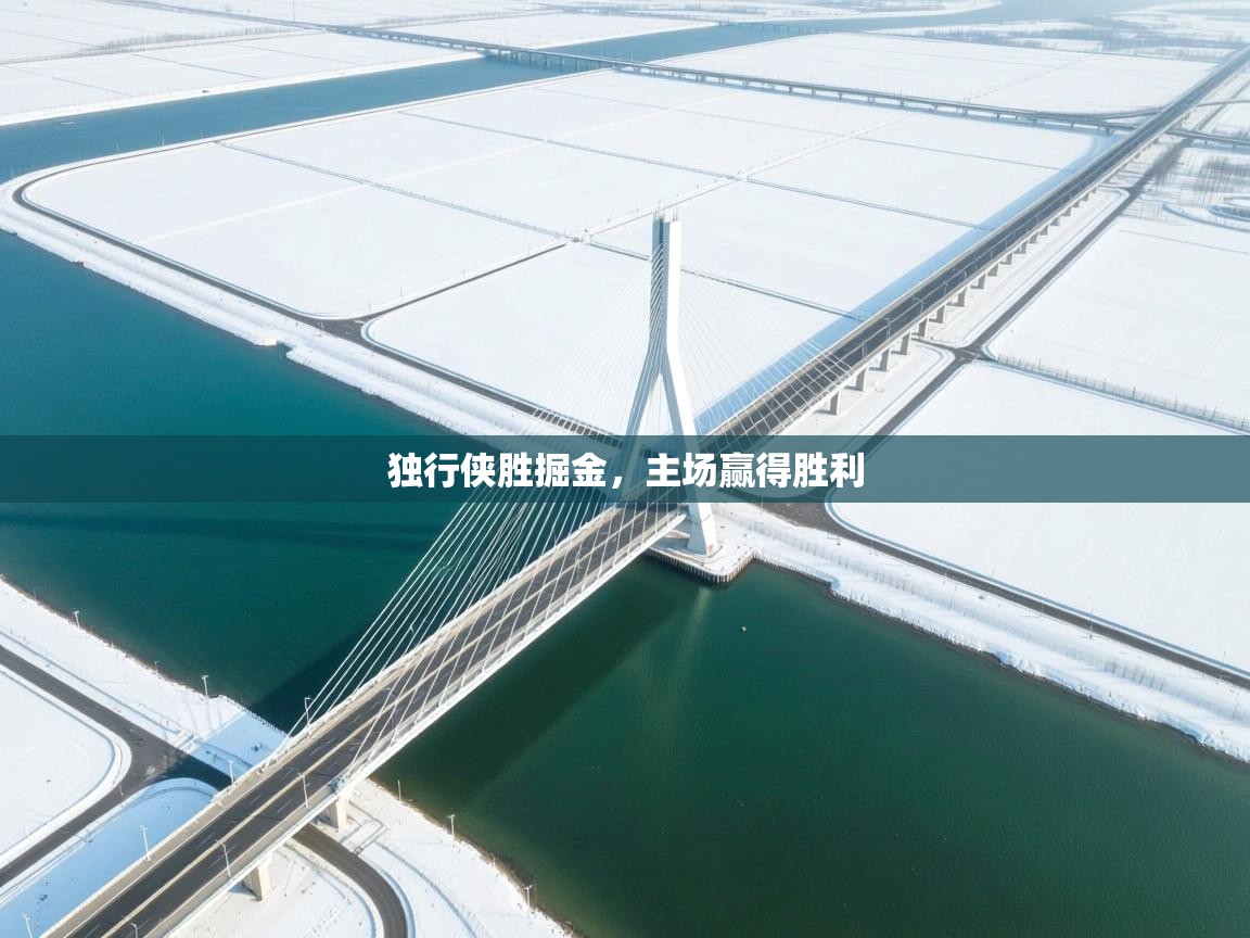 独行侠胜掘金，主场赢得胜利  第2张